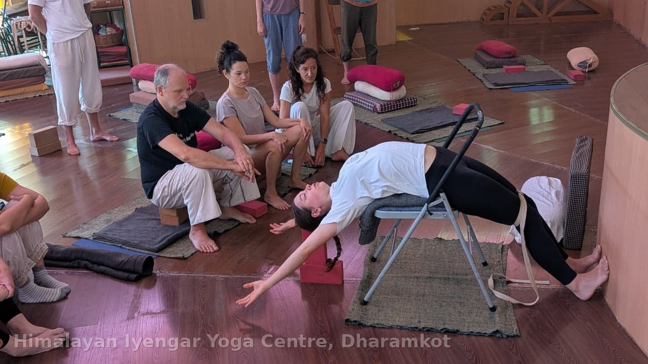 What Is Iyengar Yoga? A Journey Through Alignment, Awareness and Balanced Practice