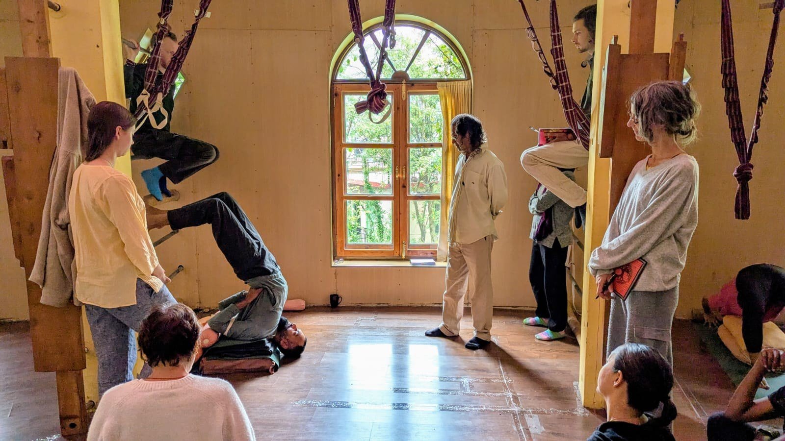 Which HIYC Yoga Course Is Right for You? Complete Comparison Guide