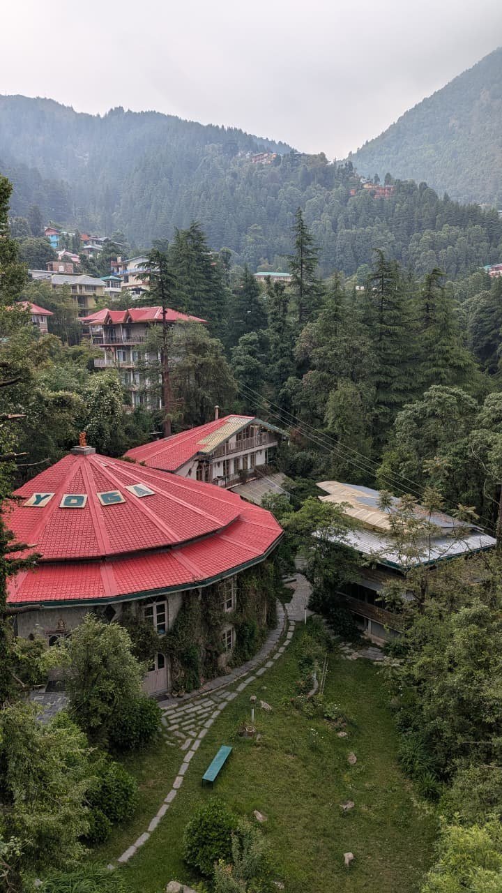 Yoga in Dharamshala: The Complete 2026 Guide