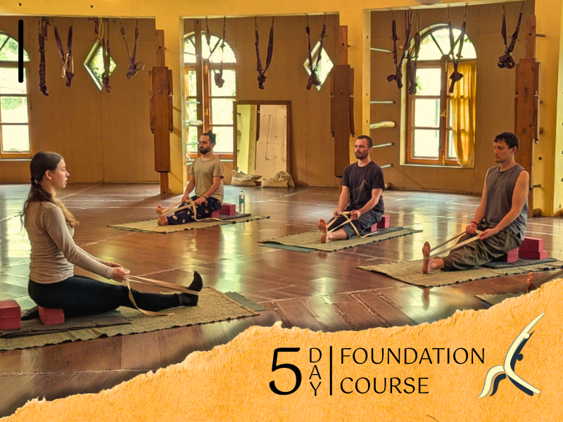 5-Day Yoga Course
