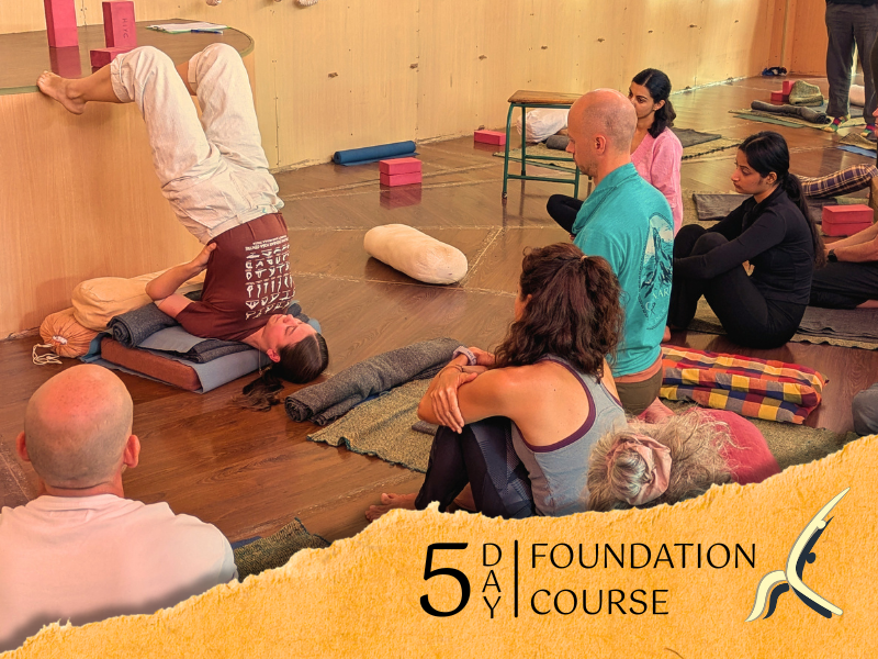 5-Day Yoga Course HIYC