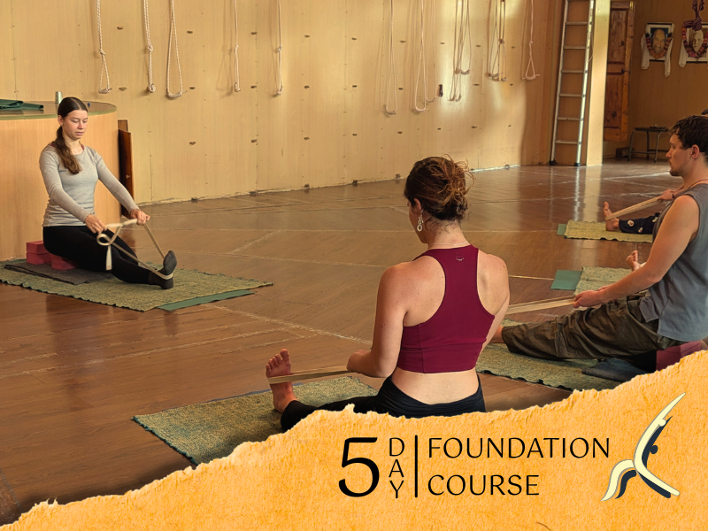 5-Day Yoga Course HIYC