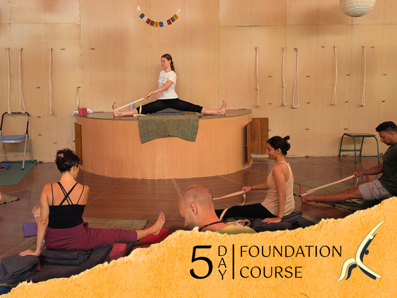 5-Day Yoga Course HIYC