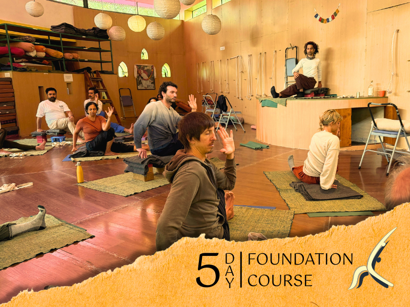 5-Day Yoga Course HIYC