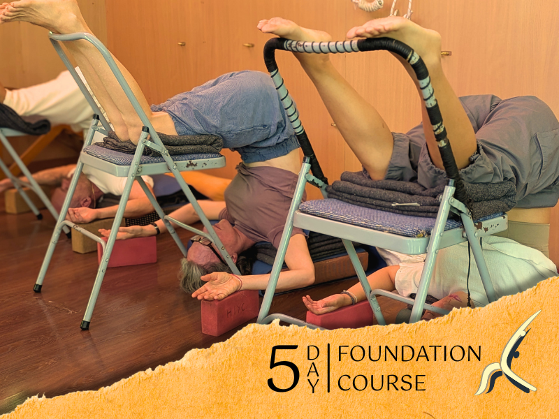 5-Day Yoga Course HIYC