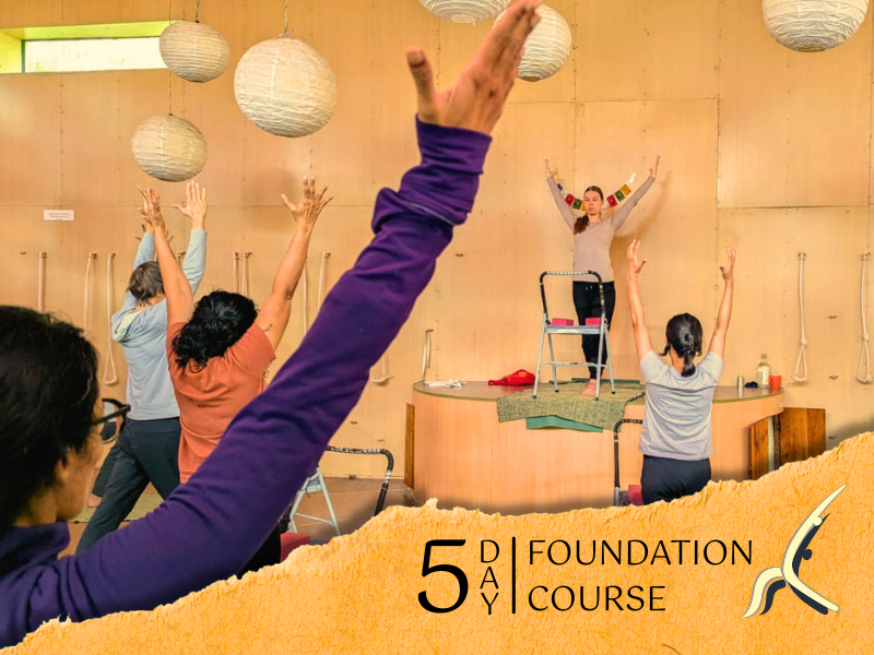 5-Day Yoga Course