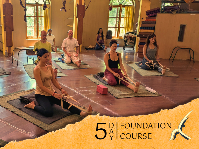 5-Day Yoga Course
