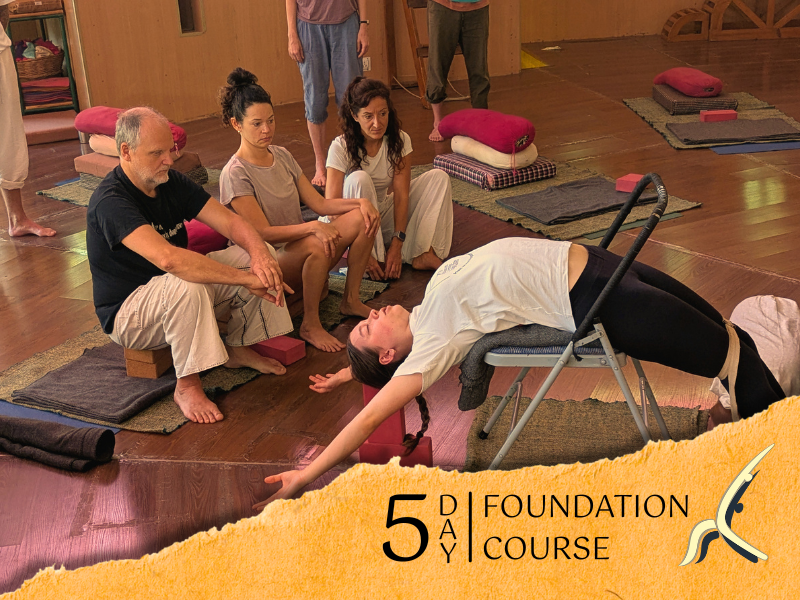 5-Day Yoga Course