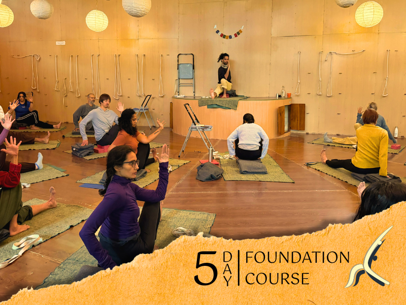 5-Day Yoga Course HIYC