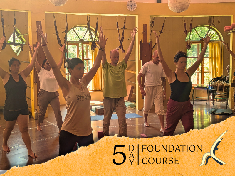 5-Day Yoga Course HIYC
