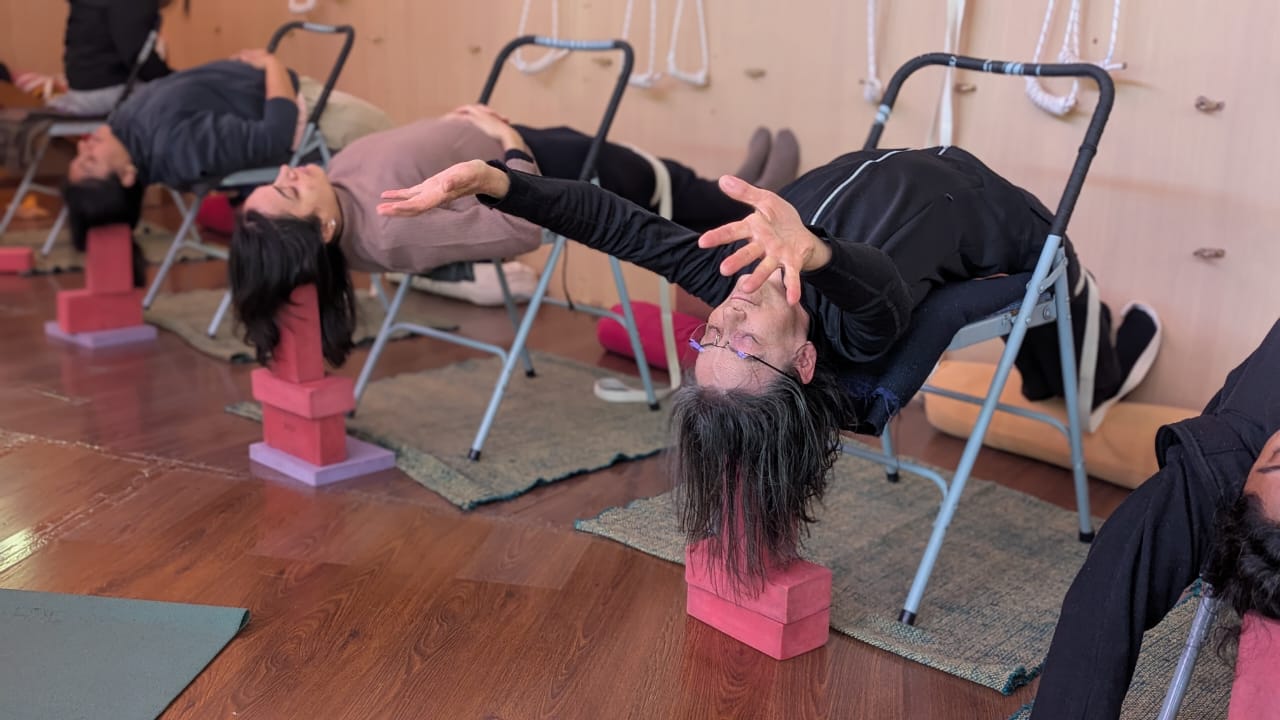 5-Day Yoga Course photo — Himalayan Iyengar Yoga Centre