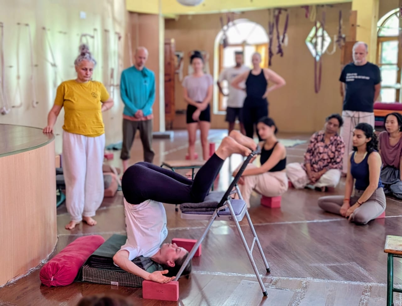 5-Day Yoga Course photo — Himalayan Iyengar Yoga Centre