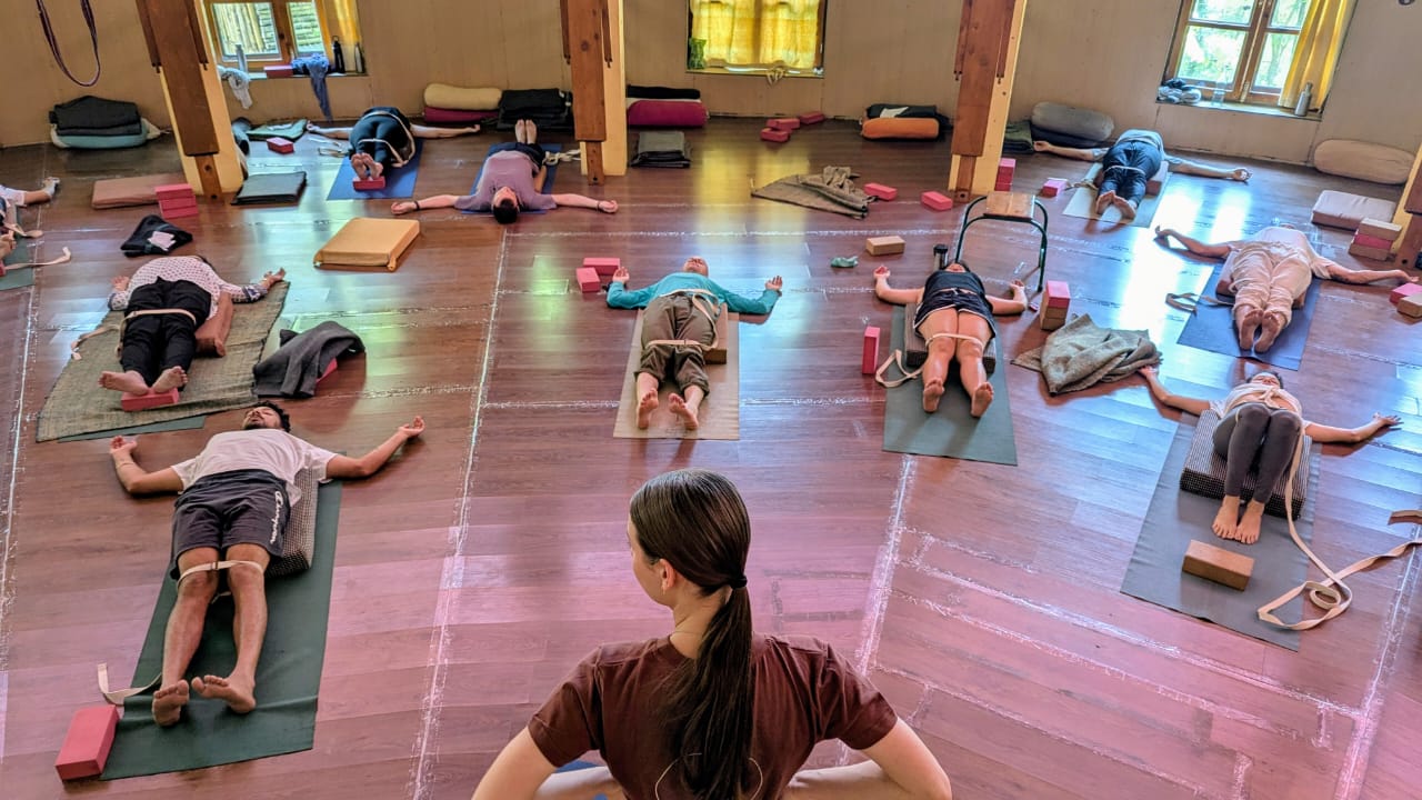 5-Day Yoga Course photo — Himalayan Iyengar Yoga Centre