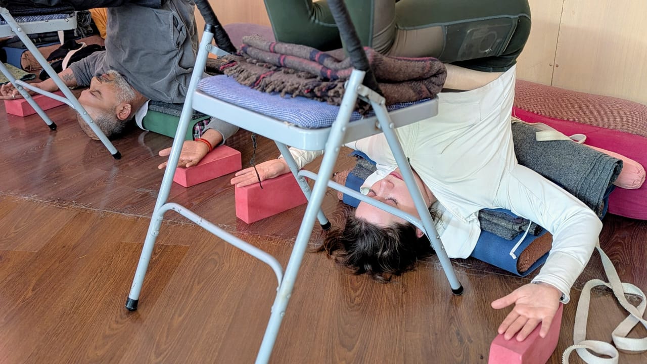5-Day Yoga Course photo — Himalayan Iyengar Yoga Centre