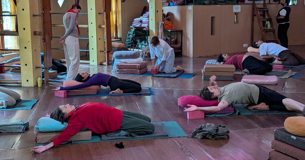 5-Day Yoga Course photo — Himalayan Iyengar Yoga Centre