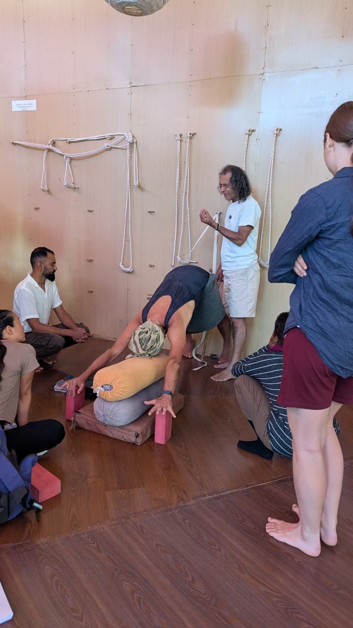 320-Hour Yoga Teacher Training photo — Himalaya Shanti Ashram