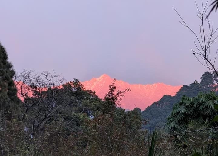 Kangra Valley mountains near the Himalaya Shanti Retreat Centre